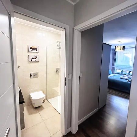 Rydygiera14 * Breslau