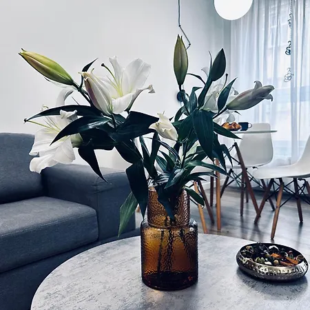 Apartment Rydygiera14 Breslau